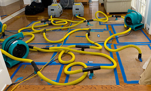Professional Water Damage Repair technician working in Bixby, OK